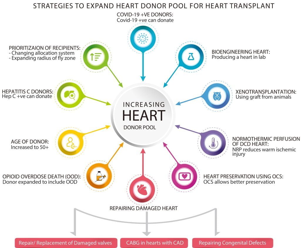 Trapianti: Strategie per aumentare le donazioni degli organi